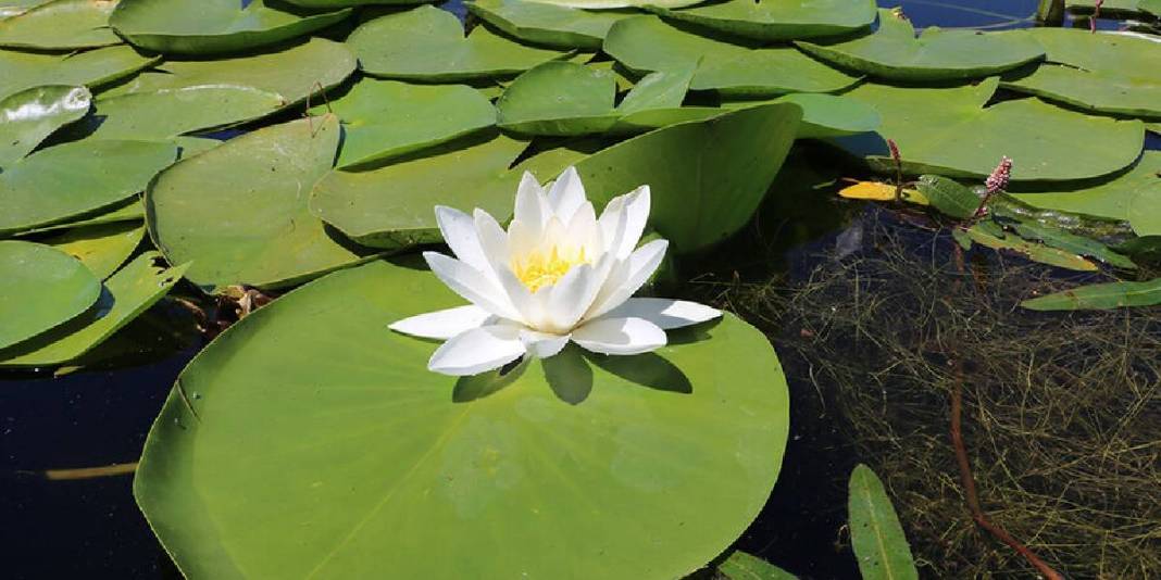 ‘Geç keşfedilmiş hazine’ yoğun ilgi görüyor! Denizli’ye giden buraya uğramadan dönmüyor: Türkiye’nin büyüleyen adresi 6